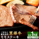 【ふるさと納税】くまもと黒毛和牛 黒樺牛 A4~A5等級 モモステーキ 合計1kg 100g×10枚 和牛 牛肉 牛 お肉 モモ ステーキ 黒毛和牛 国産 九州産 熊本県産 冷凍 送料無料