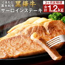 【ふるさと納税】【3回定期便】くまもと黒毛和牛 黒樺牛 A4〜A5等級 サーロインステーキ定期便 400g×3回 合計1.2kg 和牛 お肉 牛肉 黒毛和牛 ス...