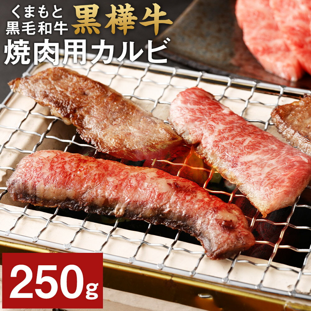 くまもと黒毛和牛 黒樺牛 A4〜A5等級 焼肉用カルビ 250g 牛肉 牛 霜降り 赤身 お肉 焼き肉 BBQ 黒毛和牛 国産 九州産 熊本県産 冷凍 送料無料