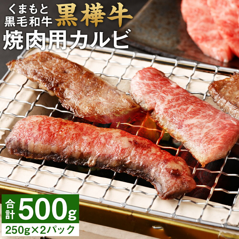 【ふるさと納税】くまもと黒毛和牛 黒樺牛 A4~A5等級 焼肉用カルビ 合計500g 250g×2パック 牛肉 牛 霜降り 赤身 お肉 焼き肉 BBQ 黒毛和牛 国産 九州産 熊本県産 冷凍 送料無料