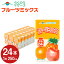 【ふるさと納税】フルーツミックス 24本 250ml×24本 1ケース ミックスジュース 乳飲料 乳性飲料 アップル リンゴ パイナップル パイン オレンジ みかん らくのうマザーズ ドリンク 飲み物 飲料 セット 紙パック 常温保存可能 ロングライフ 送料無料 10,000円