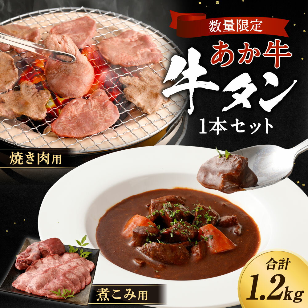 【ふるさと納税】【数量限定】熊本あか牛タン 1本セット 合計1.2kg（焼き肉用 800g、煮こみ用 400g）タン 牛タン お肉 赤牛 ブロック スライス 焼肉 煮込み 国産 熊本県産 送料無料