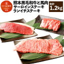 【ふるさと納税】熊本黒毛和牛 サーロイン 200g×2枚 馬肉サーロイン 200g×2枚 ランイチステーキ 120g×4枚 合計約1.2kg 黒毛和牛 和牛 牛...