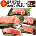 【ふるさと納税】熊本黒毛和牛 サーロイン 200g×4枚 ヒレ 150g×4枚 ランイチステーキ 120g×4枚 馬肉プレミアムセット 馬肉サーロイン 200g...