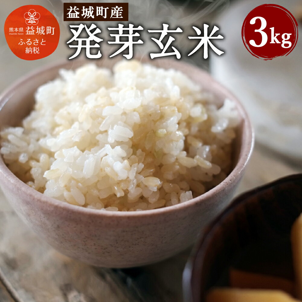 【ふるさと納税】発芽玄米 3kg 玄米 ヒノヒカリ 米 ジッ