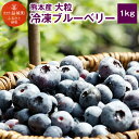【ふるさと納税】熊本産 大粒 冷凍 ブルーベリー 1kg 大...