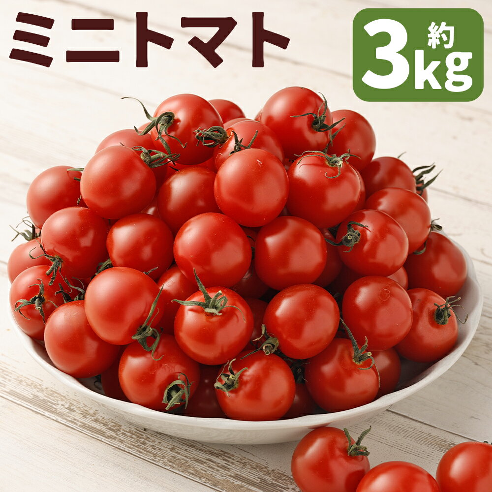 【ふるさと納税】ミニトマト 約3kg トマト サンチェリーピュア 野菜 益城町産 熊本県産 九州産 国産 冷蔵 送料無料