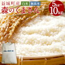 【ふるさと納税】益城町産 森のくまさん 5kg/10kg 白米/無洗米 選べる内容量 選べる精米タイプ 令和7年産 お米 精米 熊本県産 九州産 送料無料【20...