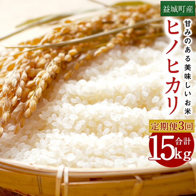 【ふるさと納税】【3回定期便】熊本 益城町産ヒノヒカリ 5kg×年3回 合計15kg...