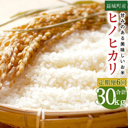 【6回定期便】熊本 益城町産ヒノヒカリ 5kg×年6回 合計30kg ひのひかり お米 熊本県産 九州産 国産 数量限定 送料無料