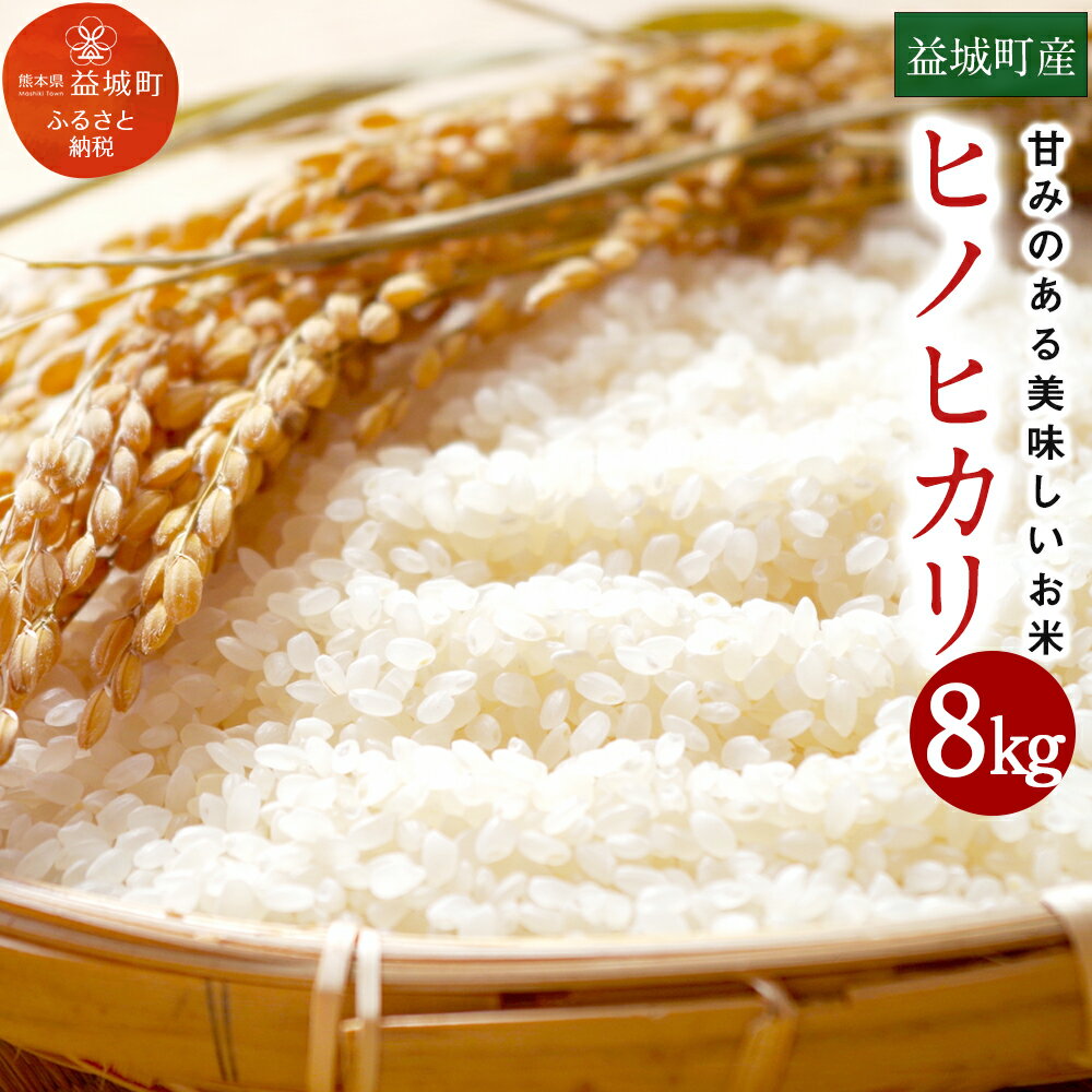 【ふるさと納税】熊本 益城町産ヒノヒカリ 8kg 新米 令和元年度産 令和1年度産 ...