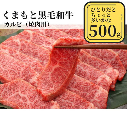 熊本県産黒毛和牛　カルビ焼肉500g