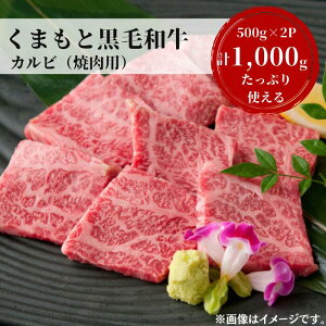 【ふるさと納税】熊本県産黒毛和牛　カルビ焼肉1,000g