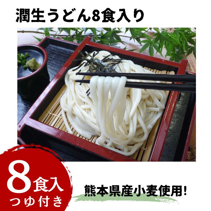 【ふるさと納税】潤生うどん8食入り