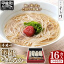 【ふるさと納税】手延べ潤生ごぼうめん16食入つゆ付 - 麺 麺類 国産 九州産 野菜 練り込み麺 国産小麦 手延べ てのべ 潤い 生に戻し 再熟成 こだわり ゴボウ ごぼう もちもち麺 常温保存 人気 おすすめ 熊本県 甲佐町【価格改定】