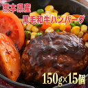 【ふるさと納税】15個入り!!熊本県産 黒毛和牛 ハンバーグ...