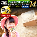 【ふるさと納税】【令和3年度産 新米】熊本県産 無洗米 14kg 甲佐米(7kg×2袋)