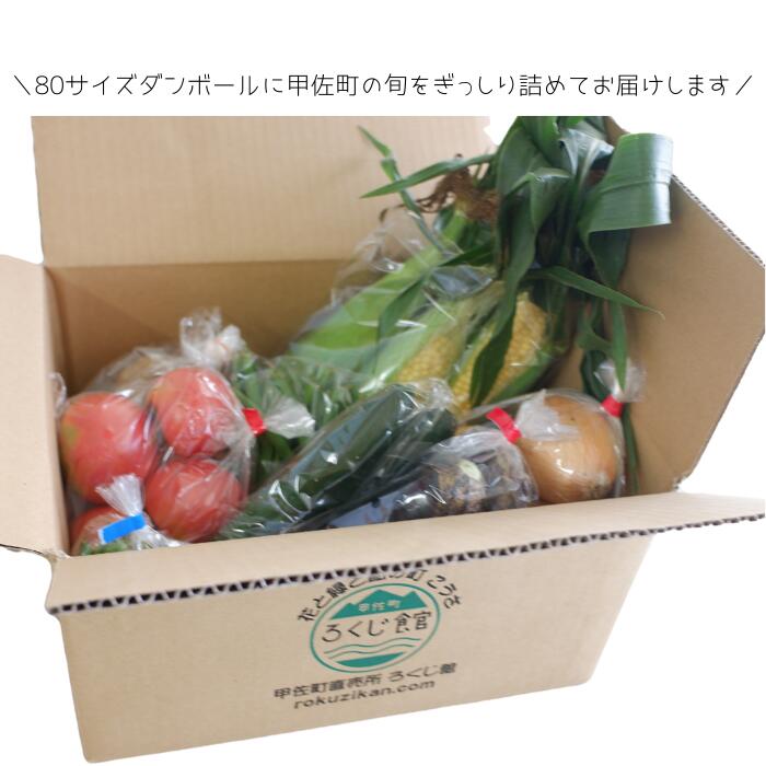 【ふるさと納税】旬の朝採れお野菜おまかせセット