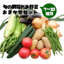 3位! 口コミ数「1件」評価「5」旬の朝採れお野菜おまかせセット