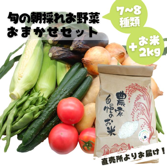 旬のお野菜おまかせセット&山出米2kg