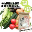 26位! 口コミ数「0件」評価「0」旬のお野菜おまかせセット＆山出米2kg