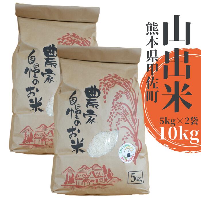 甲佐町で育てたお米　山出米10kg（5kg×2袋）