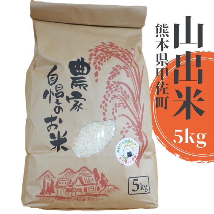 甲佐町で育てたお米 山出米5kg