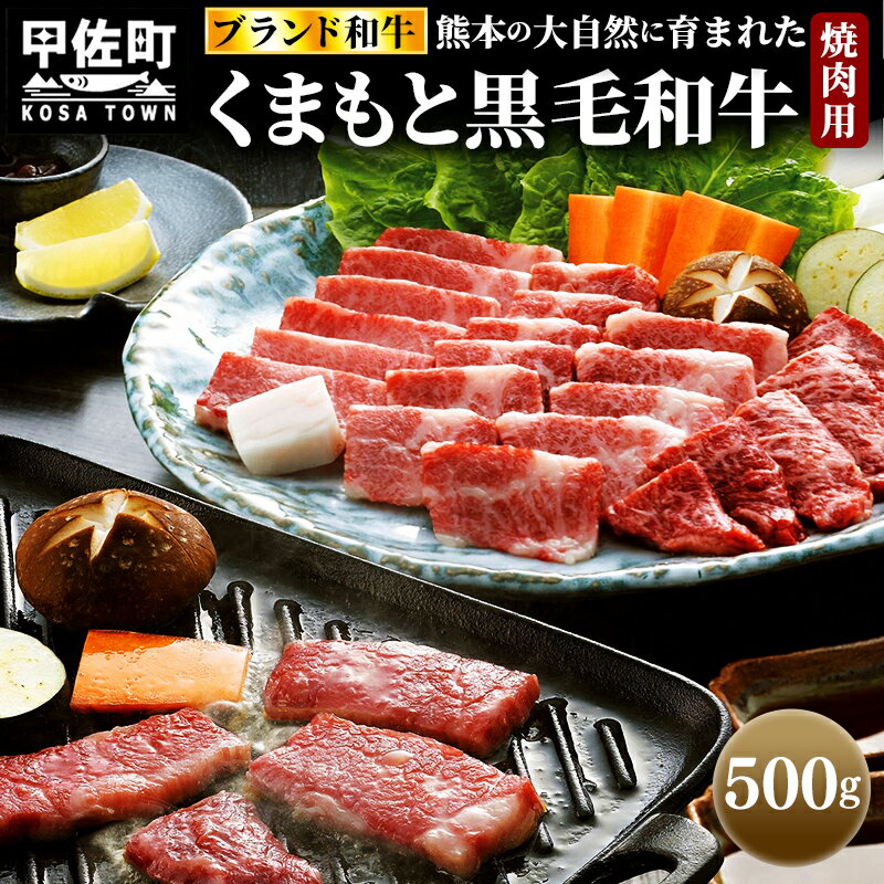 くまもと黒毛和牛焼肉用500g