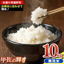 【ふるさと納税】令和7年産『甲佐の輝き』無洗米10kg(5kg×2袋)【配送月選択可!】/出荷日に合わせて精米 - 国産 白米 無洗米 お米 ブレンド米 複数原...