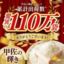 熊本県甲佐町の画像2