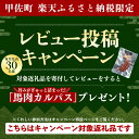 熊本県甲佐町の画像2