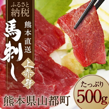 【ふるさと納税】 馬刺し 上赤身(100g×5P)