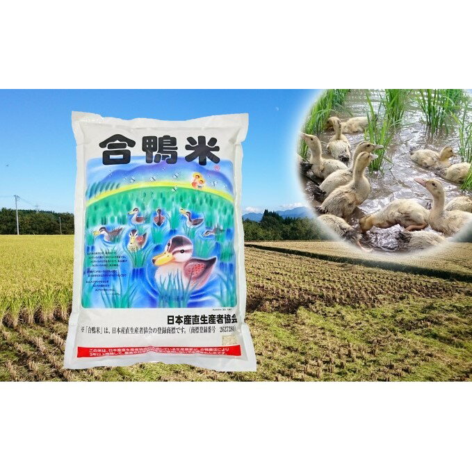 【ふるさと納税】熊本県産「合鴨米」ヒノヒカリ5kg　【お米・白米・おこめ・ヒノヒカリ...