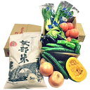 【ふるさと納税】矢部米と山都産高冷地新鮮野菜詰合せ 【お米・...