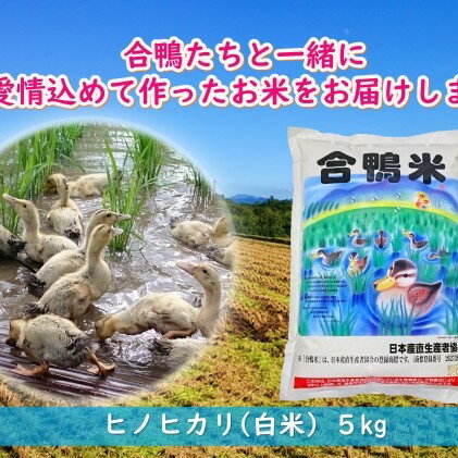 【ふるさと納税】熊本県産「合鴨米」ヒノヒカリ5kg　【お米・ヒノヒカリ】　お届け：2020年10月下旬〜2021年6月下旬