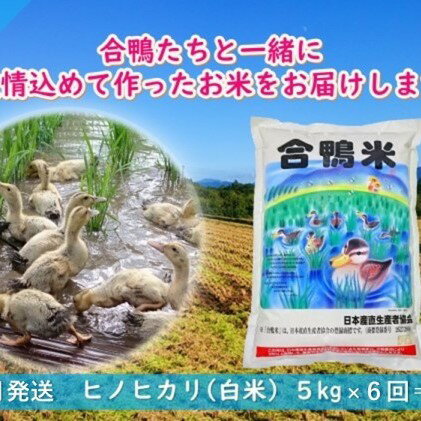 【ふるさと納税】【定期便6回】熊本県産「合鴨米」ヒノヒカリ5kg×6回　【定期便・お米・ヒノヒカリ】　お届け：2020年10月下旬〜2021年6月下旬