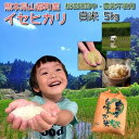 【ふるさと納税】【令和2年度産】熊本県山都町イセヒカリ 白米...