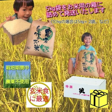 【ふるさと納税】【令和2年度産】熊本県山都町イセヒカリ 白米10kg 【お米・白米】 お届け:2020年10月中旬〜2021年5月下旬
