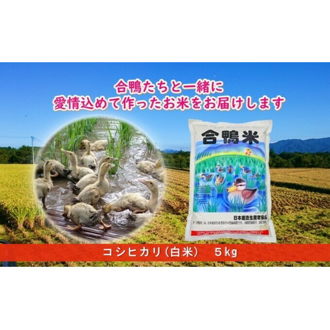 【ふるさと納税】熊本県産「合鴨米」コシヒカリ 5kg　【お米・コシヒカリ・5kg】　...