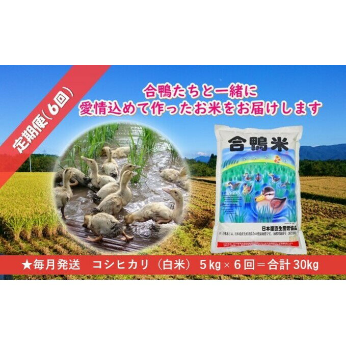 【ふるさと納税】【定期便6回】熊本県産「合鴨米」コシヒカリ5kg×6回　【定期便・お...