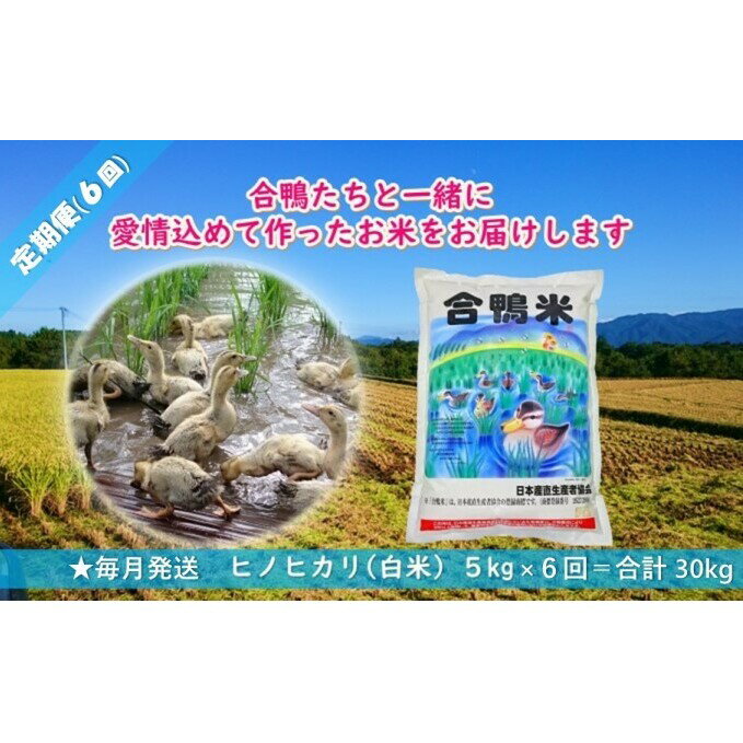 【ふるさと納税】【定期便6回】熊本県産「合鴨米」ヒノヒカリ5kg×6回　【定期便・お...