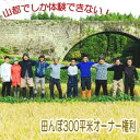 【ふるさと納税】有機の里、山都でしかできない！田んぼオーナー（300平米）【お米10kg×12回/月お届け】　【定期便・体験チケット おこめ】