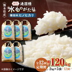 【ふるさと納税】【全12回定期便】令和5年産 通潤橋 水ものがたり 棚田米 10kg (2kg×5袋) お米 白糸台地 熊本産 特別栽培米 定期便【一般社団法人 山都町観光協会】[YAB019] 300000 300,000 300000円 300,000円 30万円