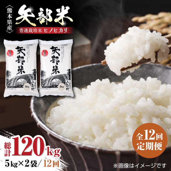 令和5年産 矢部米 普通栽培米 10kg (2kg×5袋) お米 白糸台地 熊本産 特別栽培米 定期便 208000 208,000 208000円 208,000円