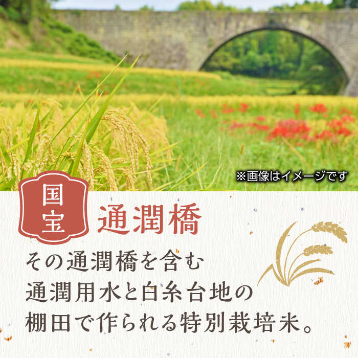 【ふるさと納税】【全6回定期便】令和5年産 通潤橋 水ものがたり 棚田米 4kg (2kg×2袋) お米 白糸台地 熊本産 特別栽培米 定期便【一般社団法人 山都町観光協会】[YAB025] 64000 64,000 64000円 64,000円