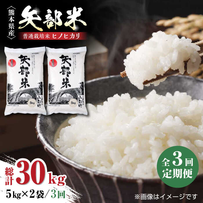 【ふるさと納税】【全3回定期便】令和5年産 矢部米 普通栽培