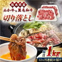 【ふるさと納税】【全12回定期便】くまもと黒毛和牛 あか牛 ミックス 切り落とし 1kg ( 500g × 2パック ) すき焼き 牛肉 山都町【熊本県畜産農業...