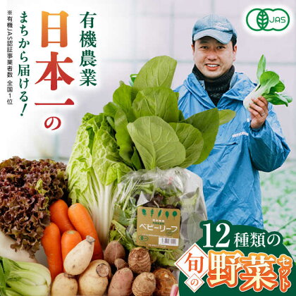 有機野菜 オーガニック 12種 野菜セット 野菜 有機JAS認定 詰め合わせ オーガニック野菜 熊本県産 山都町産 産地直送 熊本直送 【株式会社 肥後やまと】[YAF001] 11000 11,000 11000円 11,000円