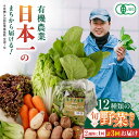 20位! 口コミ数「1件」評価「3」【全3回隔週定期便】 有機野菜 12種セット 野菜 詰め合わせ 熊本県産 山都町産 産地直送 オーガニック【株式会社 肥後やまと】[YAF0･･･ 