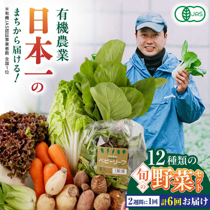 【全6回隔週定期便】有機野菜 12種セット 野菜 詰め合わせ 熊本県産 産地直送 オーガニック【株式会社 肥後やまと】[YAF005] 62000 62,000 62000円 62,000円